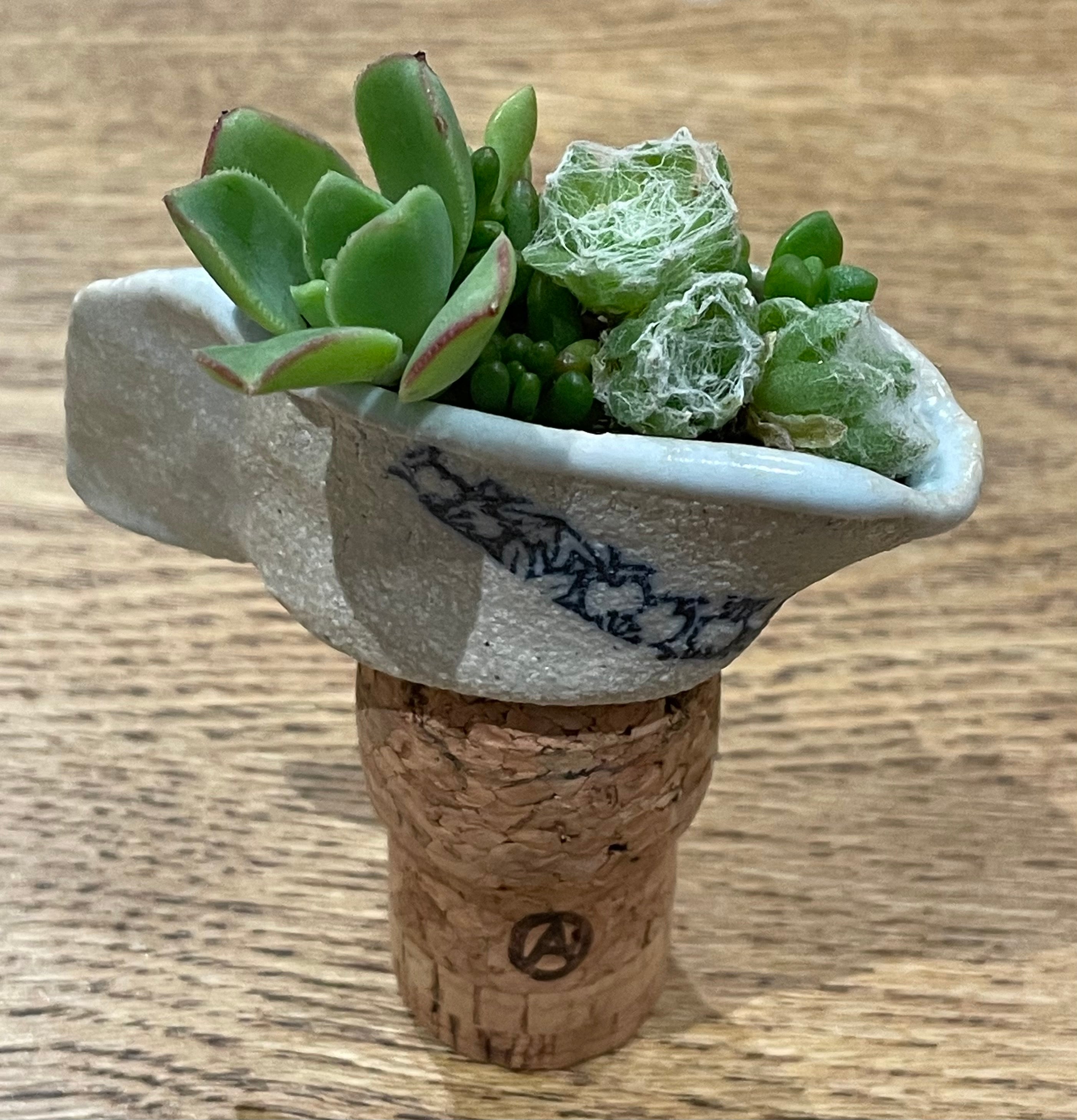 tiny GIFT set ceramic succulent garden - tea